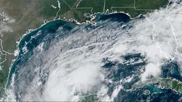 Carreteras de Florida abarrotadas de personas que huyen de Milton (+Videos)