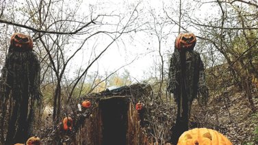 Halloween | Conozca 12 atracciones espeluznantes en Illinois