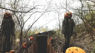 Halloween | Conozca 12 atracciones espeluznantes en Illinois Halloween | Conozca 12 atracciones espeluznantes en Illinois