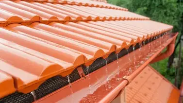 ¡No pongas en riesgo tu casa! Mantén limpias las canaletas de lluvia ¡No pongas en riesgo tu casa! Mantén limpias las canaletas de lluvia