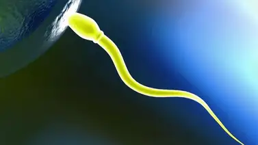 Semen amarillo: qué es y qué hacer si lo padeces Semen amarillo: qué es y qué hacer si lo padeces