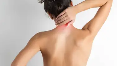 La planta rica en calcio, magnesio y potasio que alivia los dolores del cuerpo  La planta rica en calcio, magnesio y potasio que alivia los dolores del cuerpo