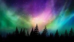 Illinois podría ser nuevamente escenario de auroras boreales: Sepa cuándo