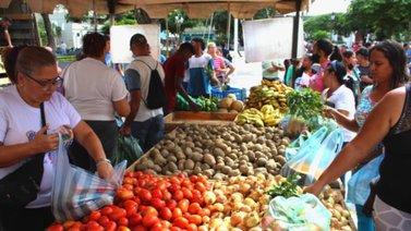 Fedeagro denuncia a supermercados y ferias de hortalizas