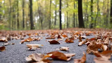 2001online - EEUU - chicago 2001online - EEUU - chicago