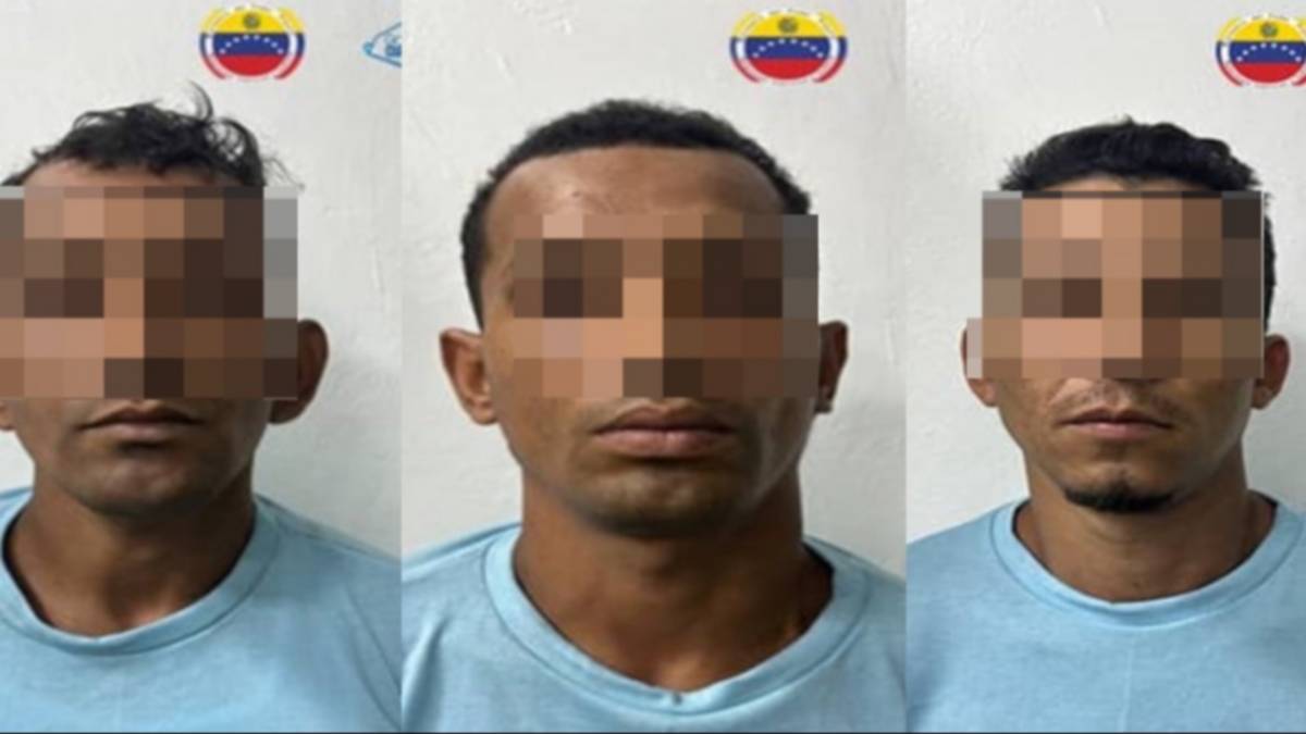 Desarticulan banda dedicada al hurto de cableado telefónico en Caracas