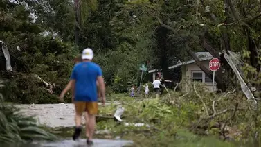 Artistas en Florida comparten imágenes tras paso del huracán Milton  Artistas en Florida comparten imágenes tras paso del huracán Milton