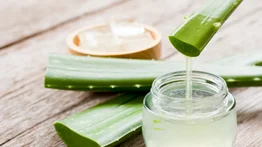 Aloe vera | Ventajas y desventajas para la salud 