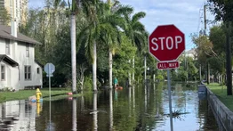 Anuncian multas para especuladores de precios en Florida (+Montos)