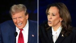 ¿En qué estados se definirían las elecciones presidenciales de EEUU?