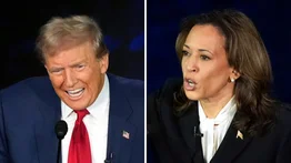 ¿En qué estados se definirían las elecciones presidenciales de EEUU?
