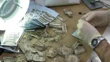 reponer-billetes-eeuu reponer-billetes-eeuu