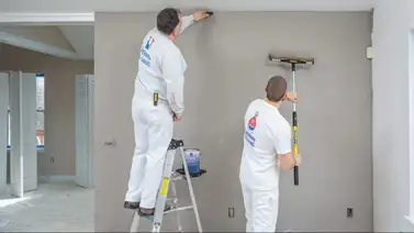 ayuidante-pintura-california  ayuidante-pintura-california