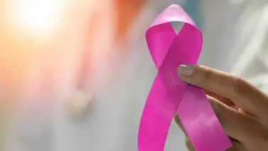 Instituto de Senología de Aragua presentó su cronograma para el Mes Rosa Instituto de Senología de Aragua presentó su cronograma para el Mes Rosa