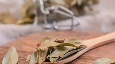 Ahuyenta a los insectos al poner hojas de laurel en sitios estratégicos Ahuyenta a los insectos al poner hojas de laurel en sitios estratégicos