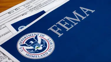 FEMA FEMA