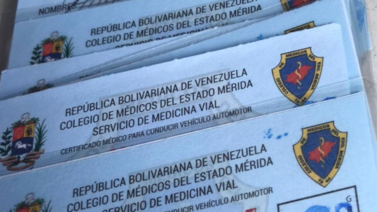 Las características del nuevo Certificado de Salud Vial (+Detalles)
