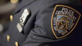 Adolescente venezolano acusado de liderar banda delictiva en Nueva York
