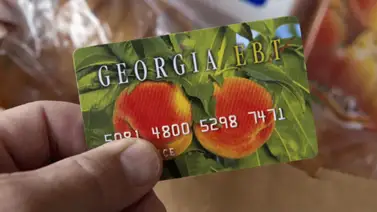 D-SNAP Georgia D-SNAP Georgia