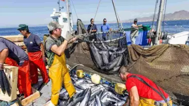 Empresas venezolanas exportan de productos pesqueros a más de 30 países Empresas venezolanas exportan de productos pesqueros a más de 30 países