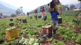 pagos-ayuda-productores-agrícolas