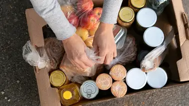 comida gratis comida gratis