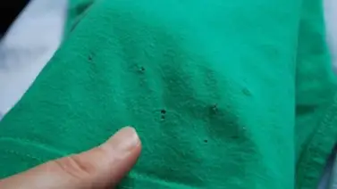 Descubre por qué aparecen pequeños agujeros en tu ropa Descubre por qué aparecen pequeños agujeros en tu ropa