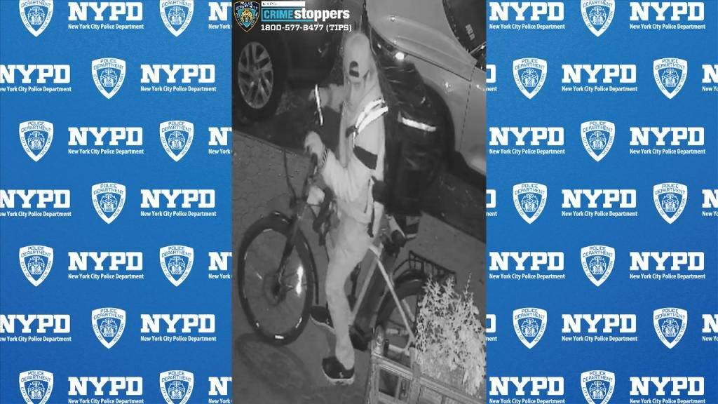 Nueva York | Repartidor intentó violar a una mujer en Central Park
