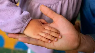 2001online - Estados Unidos - Florida adopción 2001online - Estados Unidos - Florida adopción