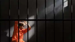 2001online - EEUU - prisión