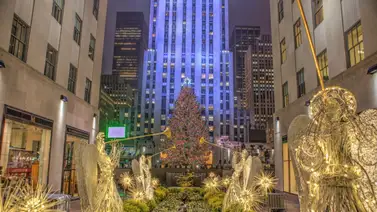 EEUU: ¿De dónde viene el árbol del Rockefeller Center y cuándo se encenderá? EEUU: ¿De dónde viene el árbol del Rockefeller Center y cuándo se encenderá?