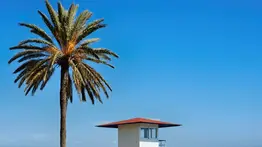 2001online - Florida- Playa