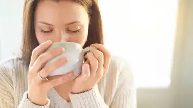 Este té relaja el sistema nervioso y recupera la juventud del cerebro Este té relaja el sistema nervioso y recupera la juventud del cerebro