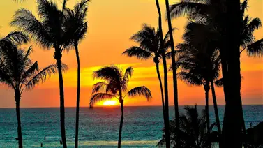 EEUU | Sepa cuáles requisitos necesita un migrante para vivir en Hawái  EEUU | Sepa cuáles requisitos necesita un migrante para vivir en Hawái