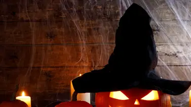 San Diego | Conozca las medidas de seguridad para los visitantes en Halloween (+Requisitos) San Diego | Conozca las medidas de seguridad para los visitantes en Halloween (+Requisitos)