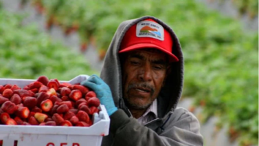 Sepa cuánto es el salario de un mexicano en EEUU (+Detalles) 