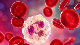 ¿Sabes qué son los neutrófilos? Estos son sus valores adecuados en la sangre