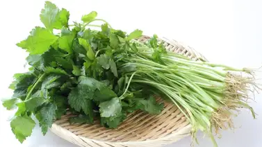 Este el impacto en el organismo si comes una ramita de perejil a diario Este el impacto en el organismo si comes una ramita de perejil a diario