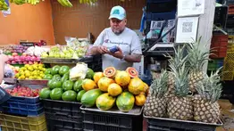 2001online - Caracas- ingredientes