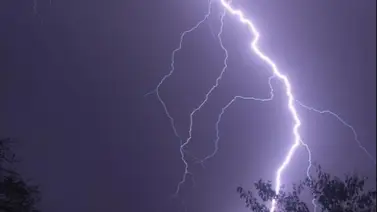 Cordonazo de San Francisco en Venezuela: ¿Cuándo llegará al país? Cordonazo de San Francisco en Venezuela: ¿Cuándo llegará al país?