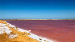 Estos son los full day disponibles con Cashea: inicial desde 20 dólares