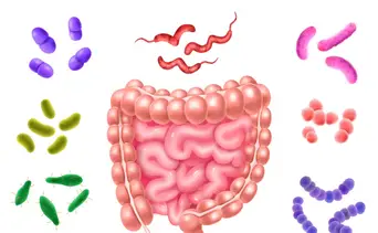Alertan sobre epidemia de autismo: la doctora Dolly de León explica por qué la clave está en el intestino