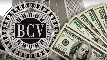 Precio del dólar y euro BCV para el 13 de octubre: así se cotizarán Precio del dólar y euro BCV para el 13 de octubre: así se cotizarán