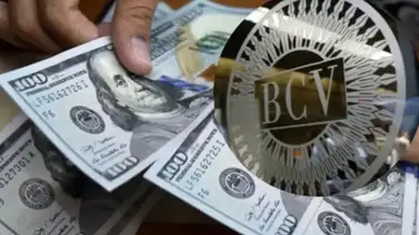 Precio del dólar y euro BCV para este lunes 13 de octubre: así se cotizan las divisas Precio del dólar y euro BCV para este lunes 13 de octubre: así se cotizan las divisas