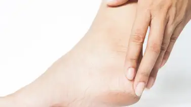 ¿Tienes los pies resecos? Prepara una crema hidratante que nutre la piel a profundidad: el gel de aloe vera es la clave ¿Tienes los pies resecos? Prepara una crema hidratante que nutre la piel a profundidad: el gel de aloe vera es la clave