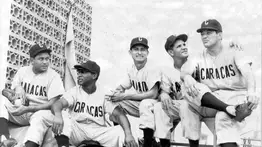 El rugido de una ciudad: los Leones como símbolo histórico de Caracas