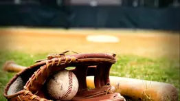 ¿Cómo conseguir el álbum de la LVBP con Meridiano y 2001? 