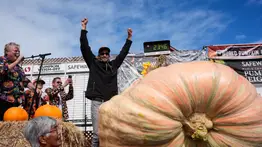 Ingeniero gana el concurso de calabazas gigantes en California: superó los 1.000 kilos