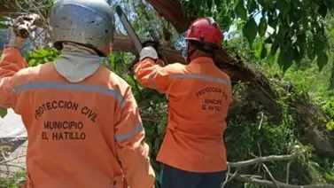 Lluvias en El Hatillo causan estragos: reporte de las últimas horas Lluvias en El Hatillo causan estragos: reporte de las últimas horas