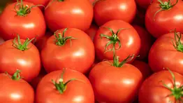 Y no es precisamente en la nevera: experto sorprende con truco milagroso para conservar por más tiempo los tomates